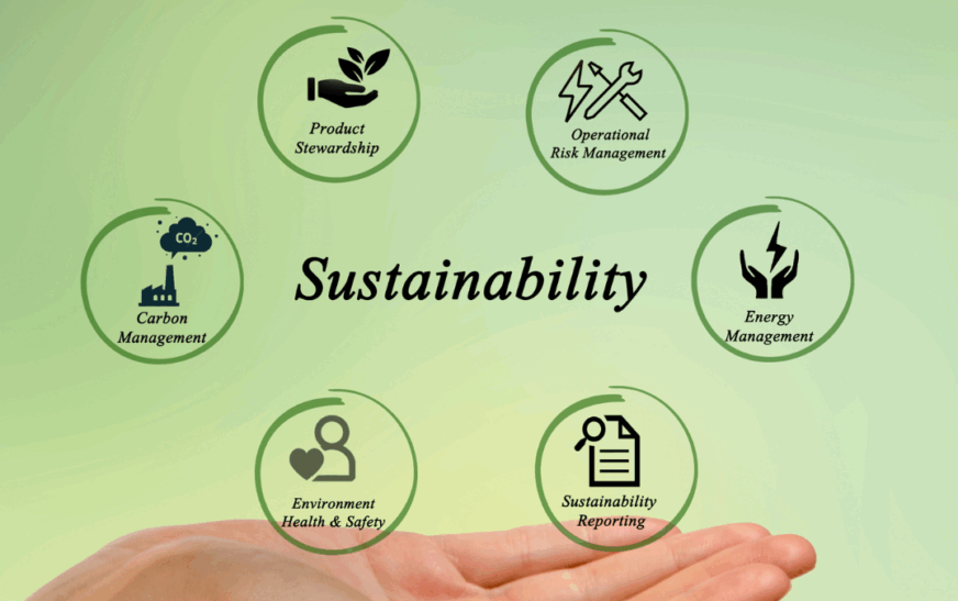 How to Build a Sustainable Business in 2025: Strategies for Success